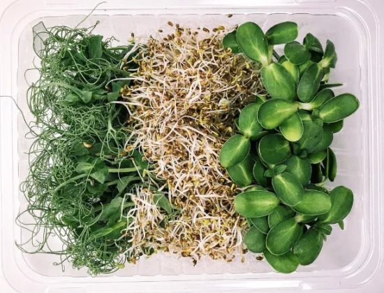 Микрозелень MicroMIX